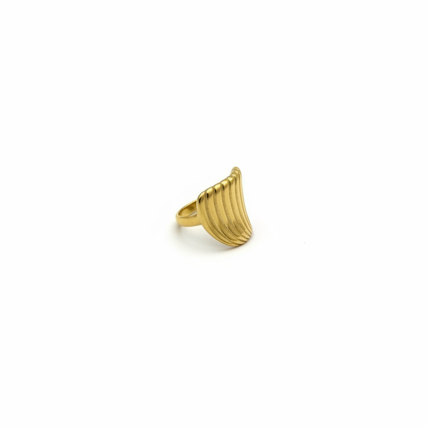 Coque Ring — shell-dome gold ring | THE ARCIVE