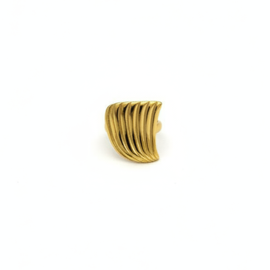 Coque Ring — domed shell ring detail | THE ARCIVE