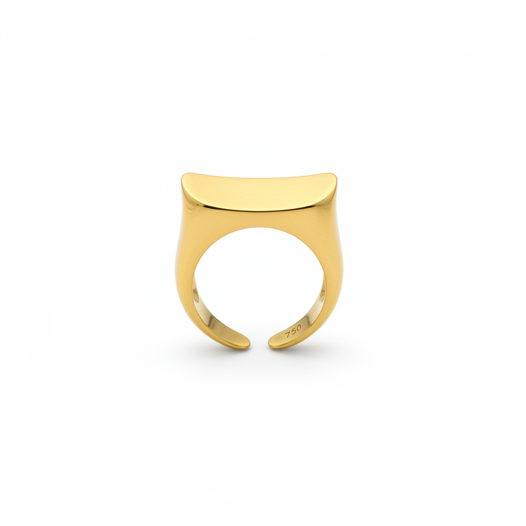 Arche Ring — adjustable arch ring side view | THE ARCIVE