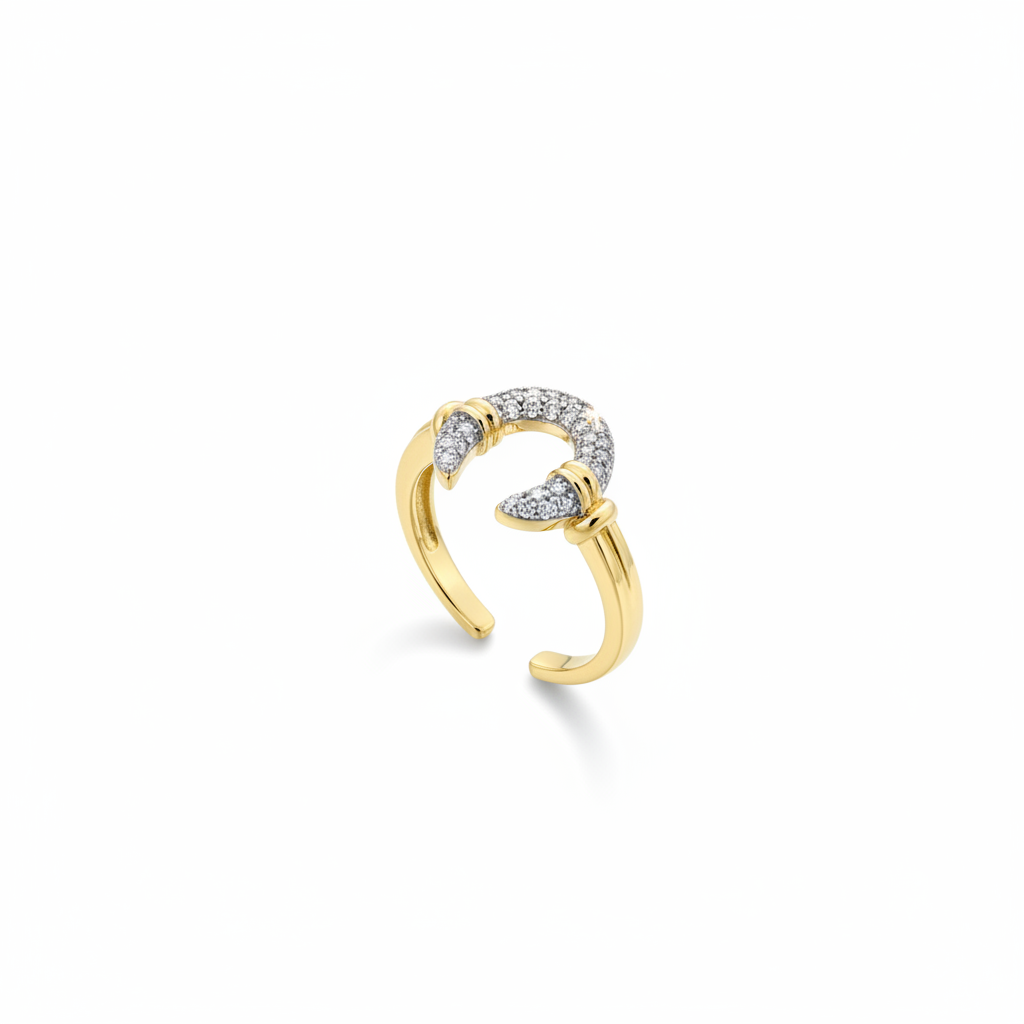 Fer à Cheval Ring — lucky horseshoe ring angle | THE ARCIVE