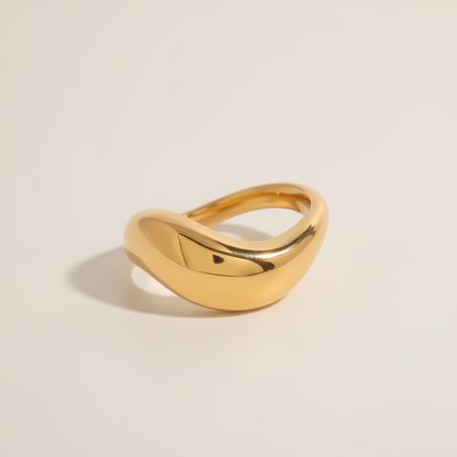 Lisse Band — The Arcive