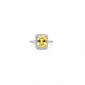 Fossile Ring — fossil-textured gold ring | THE ARCIVE