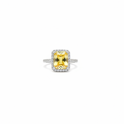 Fossile Ring — fossil-textured gold ring | THE ARCIVE